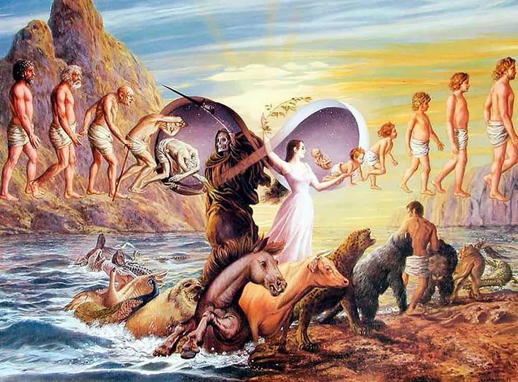 Reincarnation Scenarioa