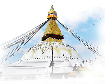 ClearStupa copy