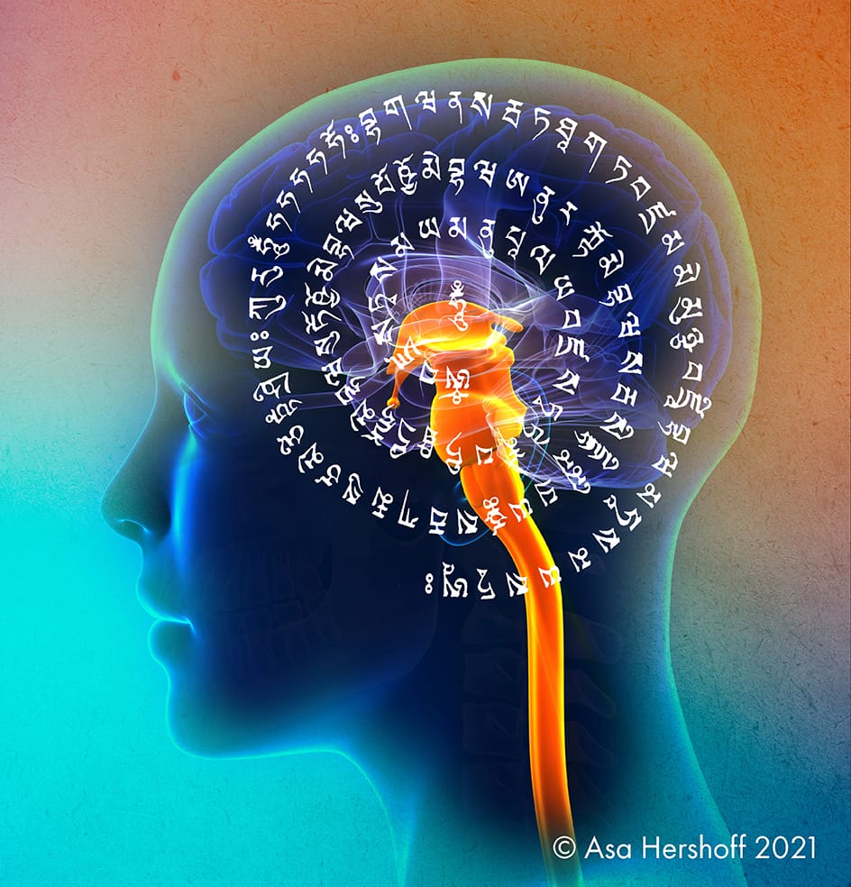 Female Spinal Cord Brain Anatomy - blue concept