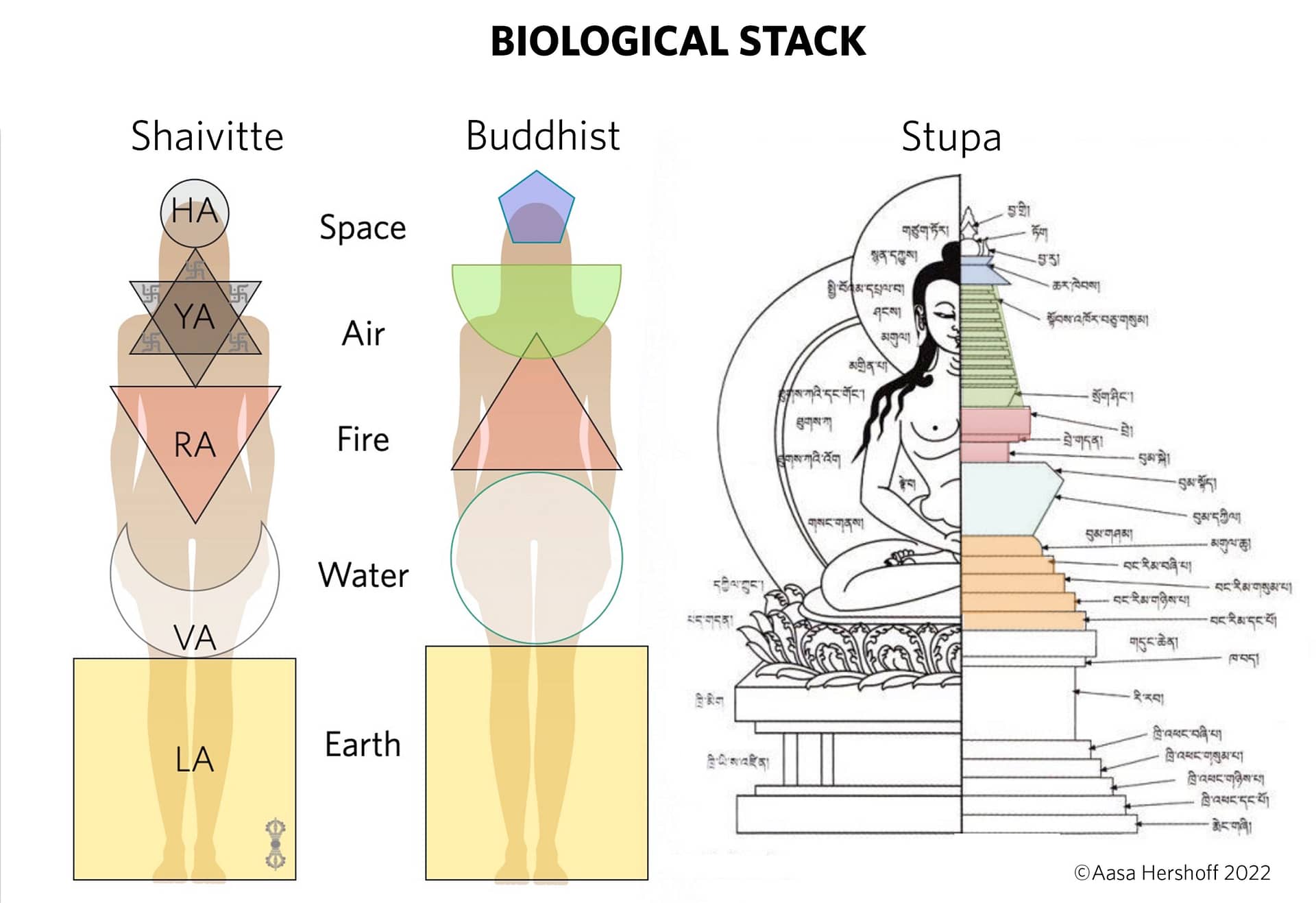 生物学的チャクラスタック